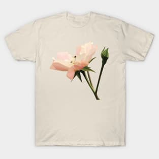 Geometric Cream Pink Rose T-Shirt